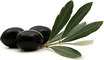 Cretan olive oil for sale